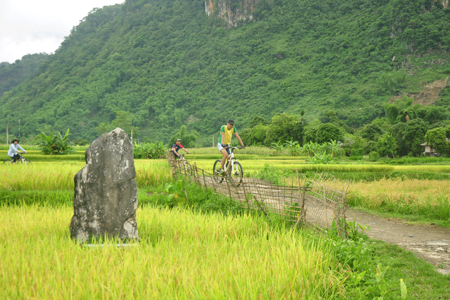 Cycling Tours in Pu Luong